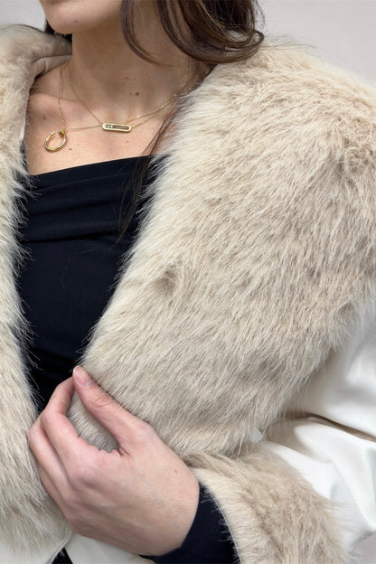 Person wearing a fur coat with a focus on jewelry