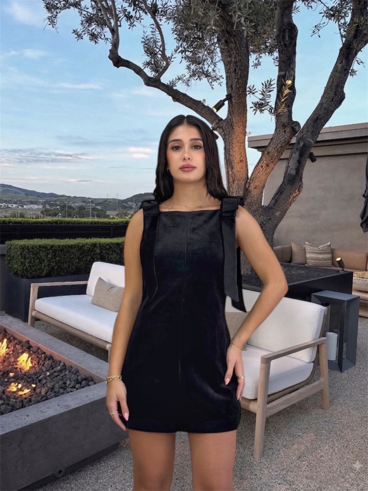 Vivia Velvet dress